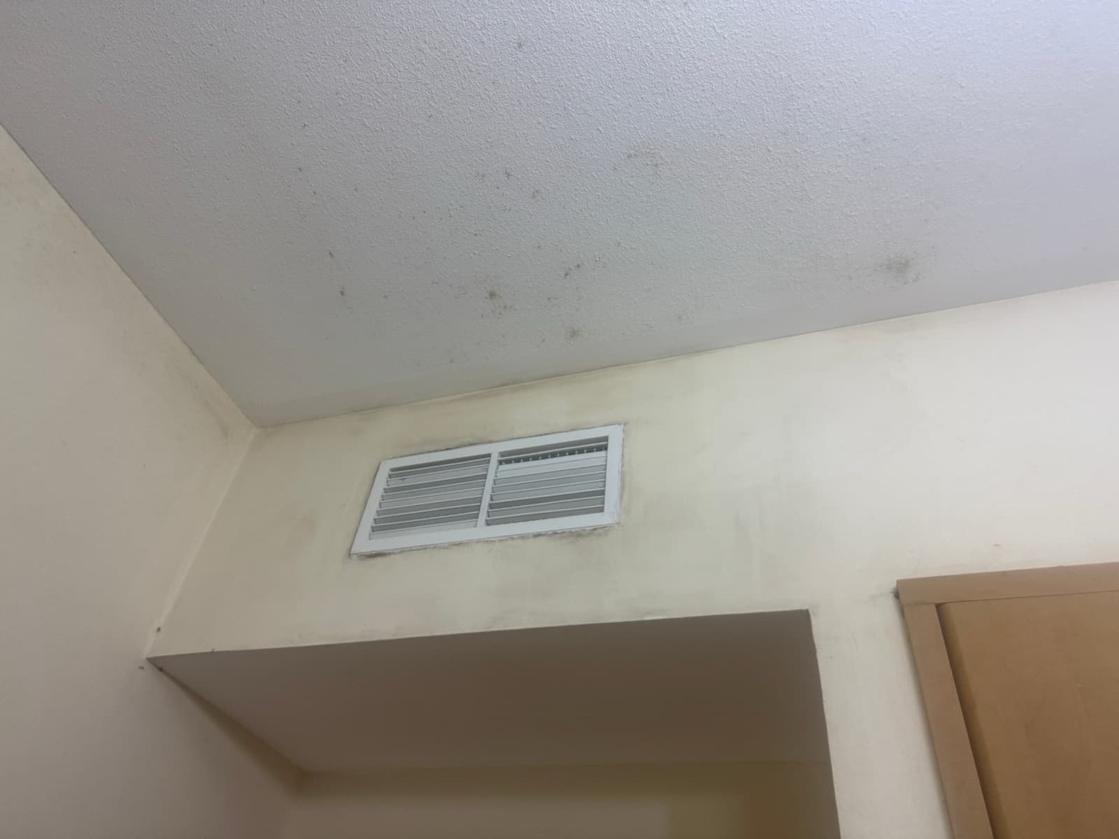 Dark speckled growth on a textured ceiling and painted wall around an AC supply grille above a doorway