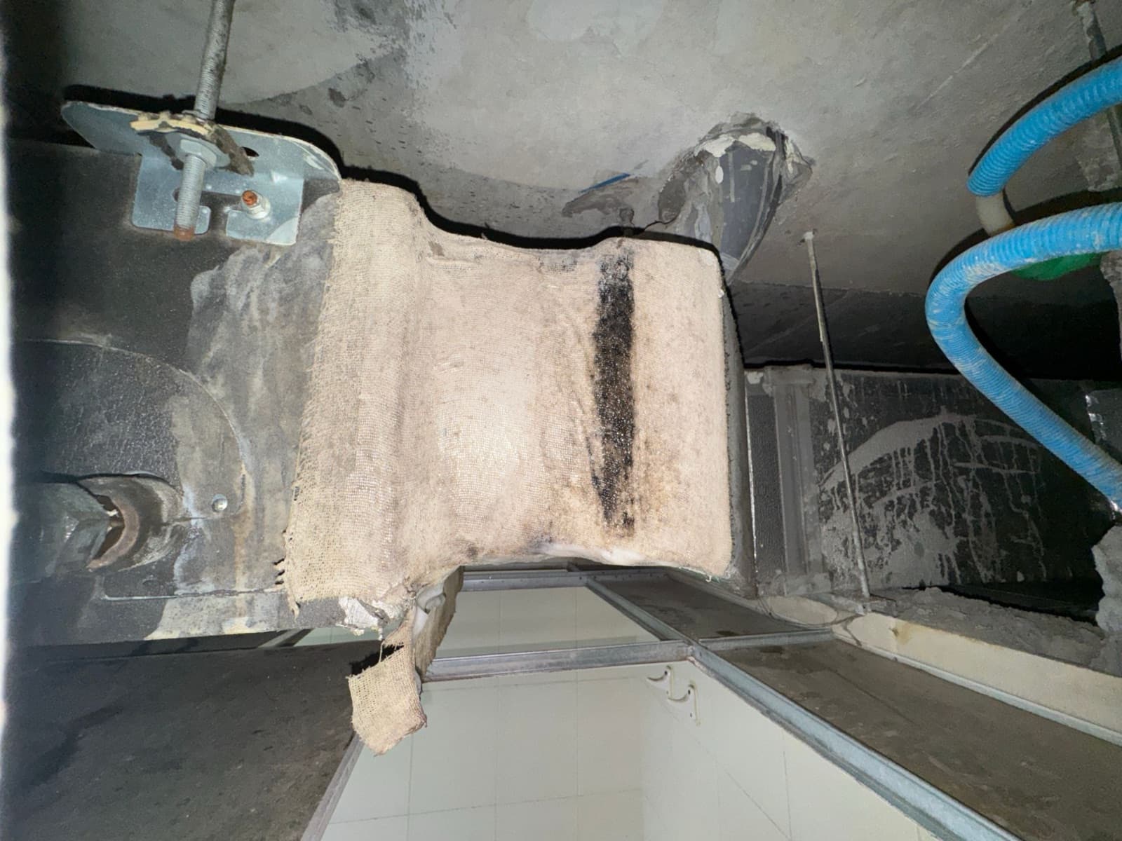 Duct insulation above a false ceiling, its cloth wrap stained dark along the seam and coming away at the bottom